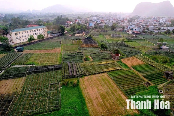 Xác minh, xử lý việc chậm tiến độ xây dựng khu tái định cư phục vụ Dự án đường sắt tốc độ cao Bắc - Nam&nbsp;