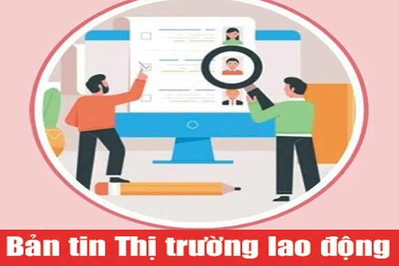 Bản tin Thị trường lao động