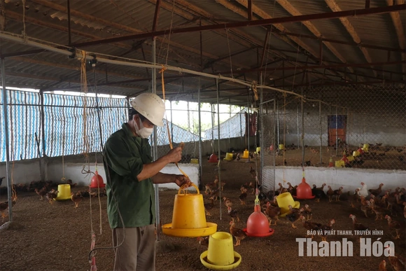 Nông dân mạnh dạn đầu tư ứng dụng công nghệ vào xử lý chất thải chăn nuôi