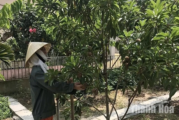 Ứng dụng khoa học - kỹ thuật vào sản xuất