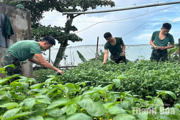 Đảo xa thêm xanh
