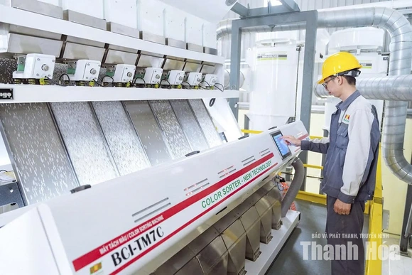 Thúc đẩy phát triển&nbsp;chế biến nông sản