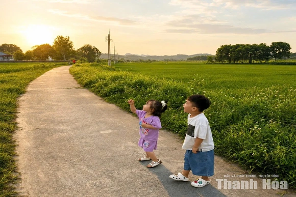 Niềm vui ngày hè