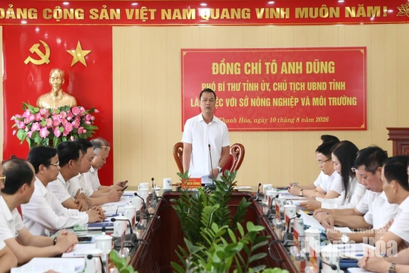 Chủ tịch UBND tỉnh Tô Anh Dũng làm việc với Sở Nông nghiệp và Môi trường