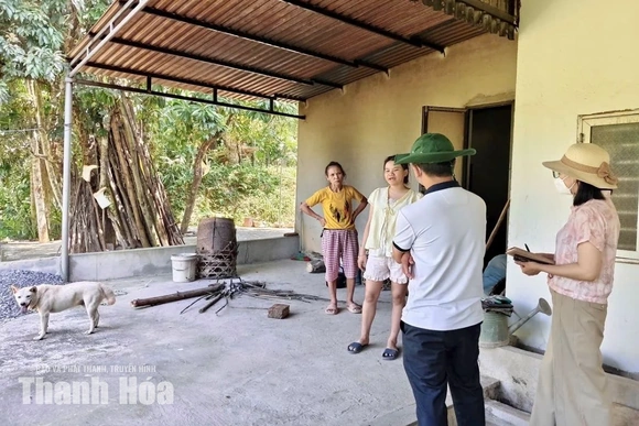 Khẩn trương xử lý vụ 6 người phơi nhiễm với đàn chó nghi dại