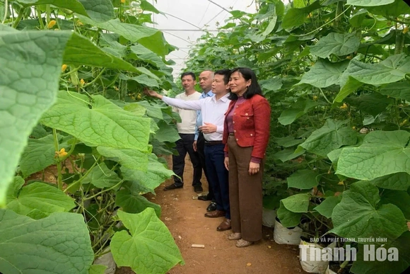 Để đồng vốn mở đường sinh kế cho nông dân