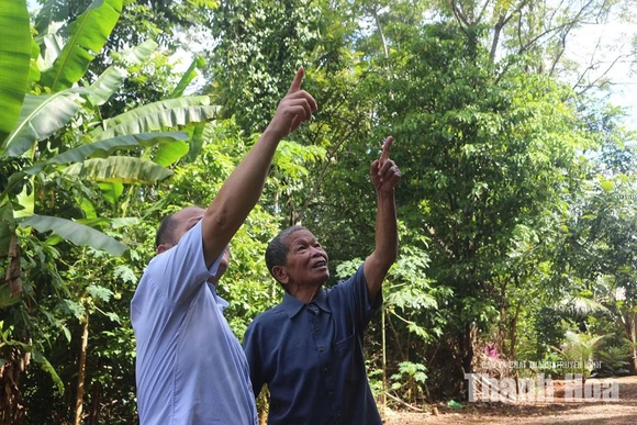 Những cánh cò không trở lại