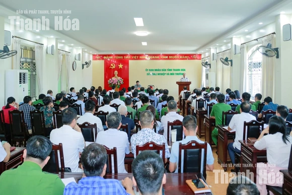 Siết chặt quản lý môi trường, dịch bệnh và an toàn lao động trong chăn nuôi