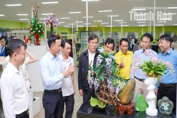 Doanh nghiệp Thanh Hóa - Lâm Đồng tăng cường liên kết