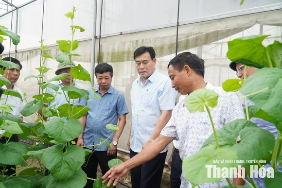 Giám sát tích tụ, tập trung đất đai trong sản xuất nông nghiệp tại xã Thiệu Hóa