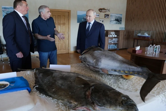 Nga - Nhật gia tăng căng thẳng vì chuyến thăm đảo Iturup  của ông Putin