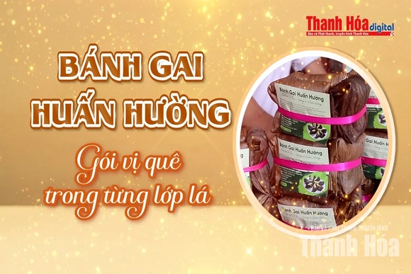 [REVIEW OCOP] Bánh gai Huấn Hường: Gói vị quê trong từng lớp lá