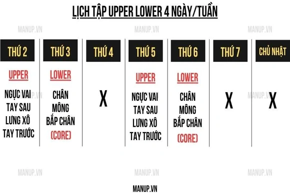 Lịch tập Upper Lower 4 buổi giúp tăng cơ cân đối cho người bận rộn