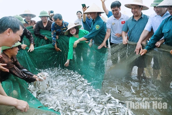 Chạm nhịp sống làng chài ven biển Hải Tiến