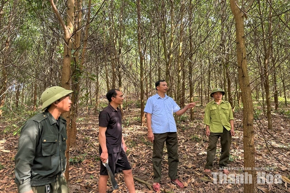 “Lá chắn” giữ vững an ninh rừng