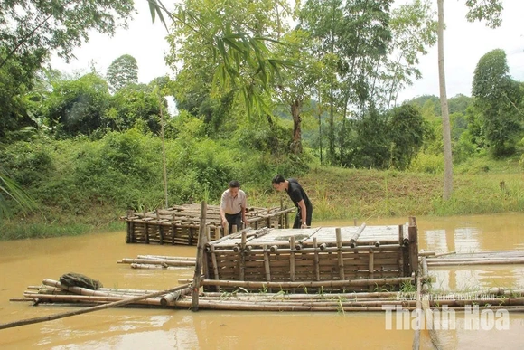 Bảo vệ an toàn các lồng nuôi cá trong mùa mưa bão