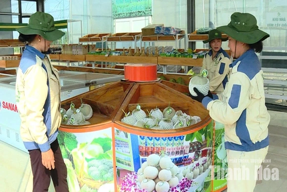 Nhiều sản phẩm OCOP “mất sao”