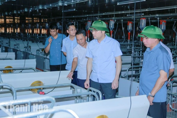 Tạo điều kiện thuận lợi để các dự án chăn nuôi quy mô lớn đi vào hoạt động đúng kế hoạch