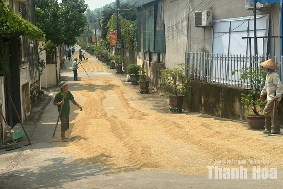 Phơi nông sản chiếm dụng lòng đường - hiểm họa tai nạn giao thông