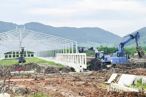 Đẩy nhanh tiến độ các dự án&nbsp;chăn nuôi quy mô lớn