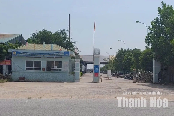 Khó khăn trong xử lý hình sự đơn vị trốn đóng bảo hiểm xã hội