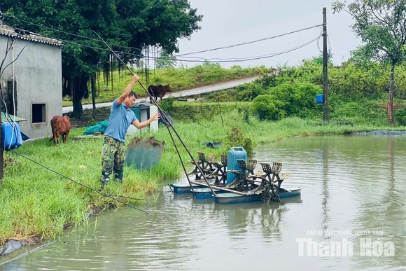Các vùng nuôi trồng thủy sản chủ động ứng phó với mưa lớn
