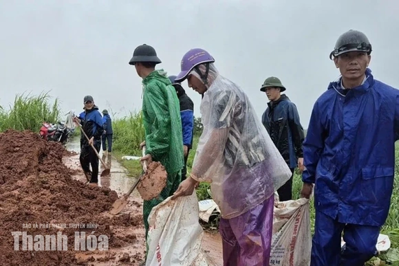 Huy động lực lượng hộ đê bao sông Cầu Chày