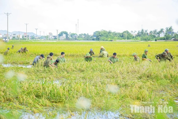 Bám trụ vùng lũ, chung tay đưa cuộc sống trở lại bình thường