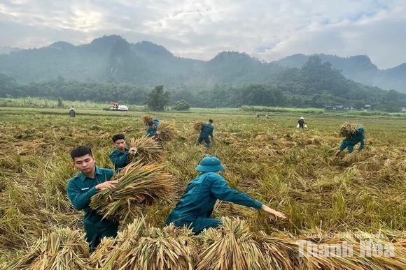 Xã Điền Lư huy động lực lượng hỗ trợ nhân dân thu hoạch lúa sau mưa lũ