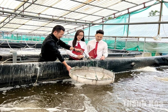 Tiếp vốn cho nông nghiệp, nông thôn