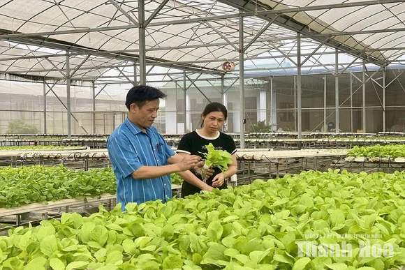 Đổi thay nhận thức - giảm nghèo bền vững
