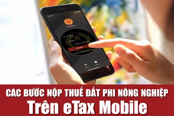 Hướng dẫn nộp thuế đất phi nông nghiệp trên eTax Mobile