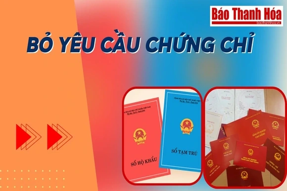 Từ tháng 12, bỏ yêu cầu chứng chỉ tin học, ngoại ngữ với một số vị trí | Báo Thanh Hóa