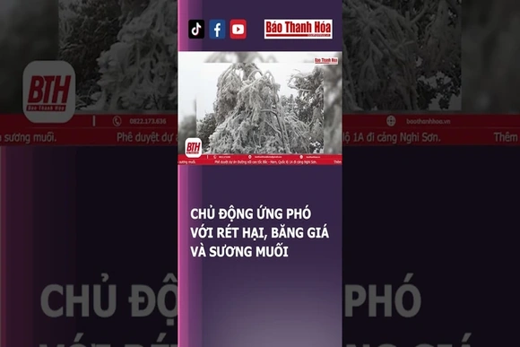 Rét đậm, rét hại, băng giá và sương muối - bà con nhớ giữ ấm | Báo Thanh Hóa