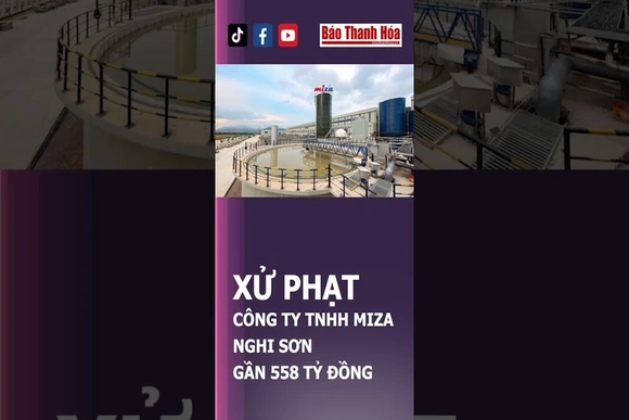 Công ty Miza Nghi Sơn làm gì mà bị phạt nặng thế? | Báo Thanh Hóa