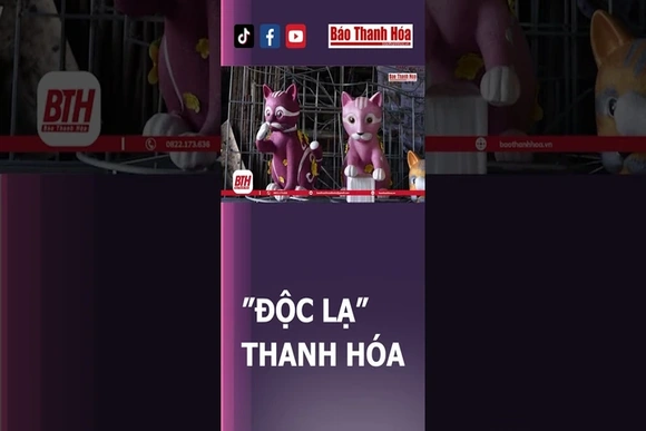 “Độc lạ” THANH HÓA | Báo Thanh Hóa
