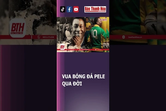 Vua bóng đá Pele qua đời | Báo Thanh Hóa