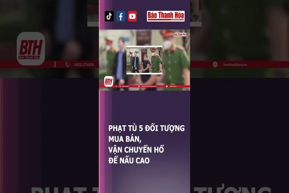 Phạt tù 5 đối tượng mua bán, vận chuyển hổ để nấu cao | Báo Thanh Hóa