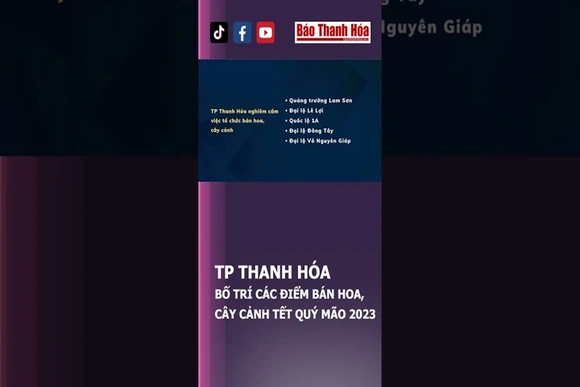 Các điểm bán đào, quất, hoa tết ở TP Thanh Hóa | Báo Thanh Hóa