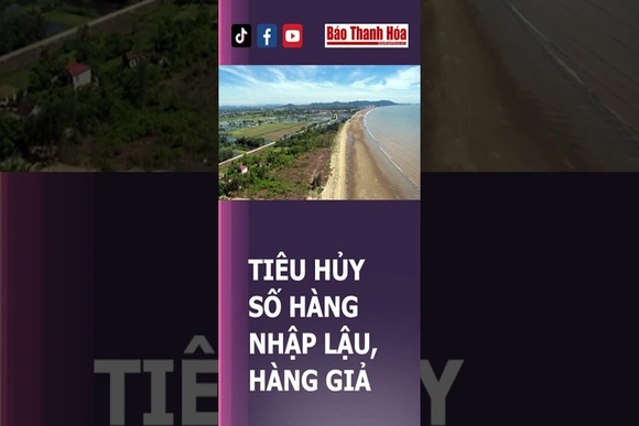 Thanh Hóa bàn giao 25,49 km mặt bằng dự án tuyến đường bộ ven biển | Báo Thanh Hóa