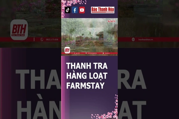 Thanh tra hàng loạt mô hình Farmstay | Báo Thanh Hóa