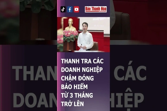THANH TRA CÁC DOANH NGHIỆP CHẬM ĐÓNG BẢO HIỂM TỪ 3 THÁNG TRỞ LÊN | Báo Thanh Hóa