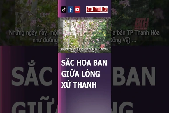 ĐIỂM CHECK IN CÙNG HOA BAN TẠI TP THANH HÓA | Báo Thanh Hóa