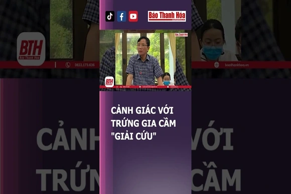 CẢNH GIÁC VỚI TRỨNG GIA CẦM “GIẢI CỨU” | Báo Thanh Hóa