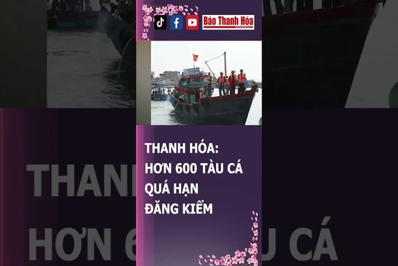 THANH HÓA: HƠN 600 TÀU CÁ QUÁ HẠN ĐĂNG KIỂM | Báo Thanh Hóa