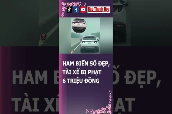 PHẠT 6 TRIỆU ĐỒNG VÌ “THÍCH BIỂN SỐ ĐẸP” | Báo Thanh Hóa
