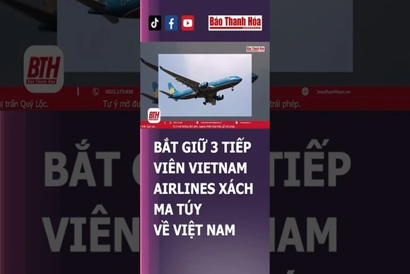 Bắt giữ 3 tiếp viên Vietnam Airlines xách m.a t.ú.y về Việt Nam | Báo Thanh Hóa