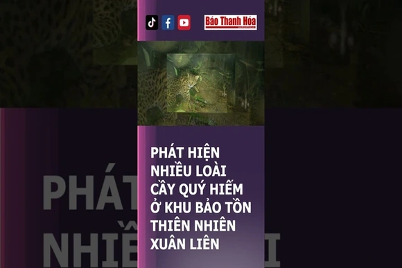 PHÁT HIỆN NHIỀU LOÀI CẦY QUÝ HIẾM Ở KHU BẢO TỒN THIÊN NHIÊN XUÂN LIÊN | Báo Thanh Hóa