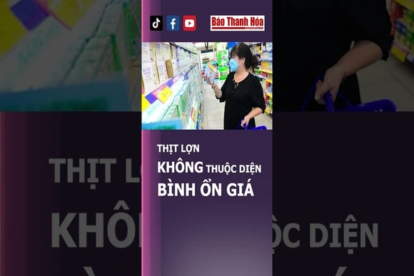 THỊT LỢN KHÔNG THUỘC DIỆN BÌNH ỔN GIÁ | Báo Thanh Hóa