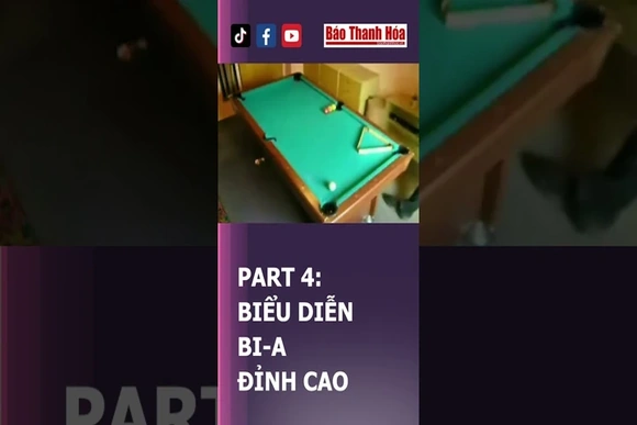 PART 4: BIỂU DIỄN BI-A ĐỈNH CAO #haihuoc #hàihước #bieudien #thanhhoa #baothanhhoa #bongdanhidong